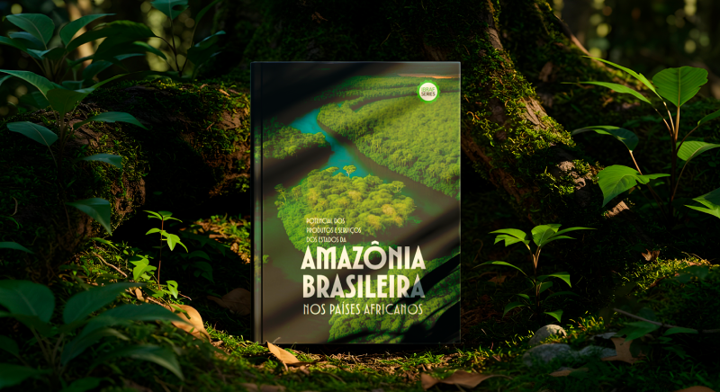Potencial dos Produtos e Serviços dos Estados da Amazônia Brasileira nos Países Africanos